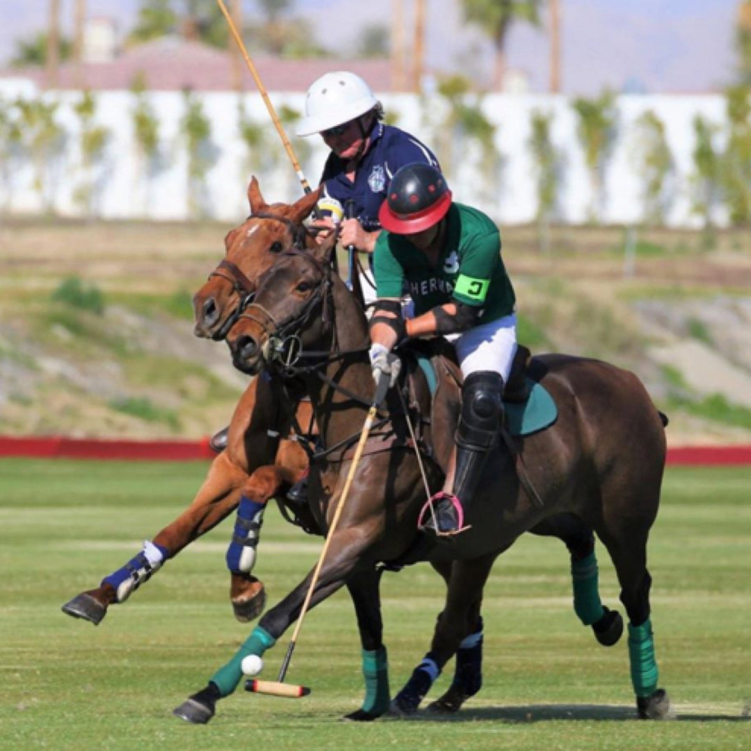 What It Takes to Be a Professional Polo Player with Jared Sheldon