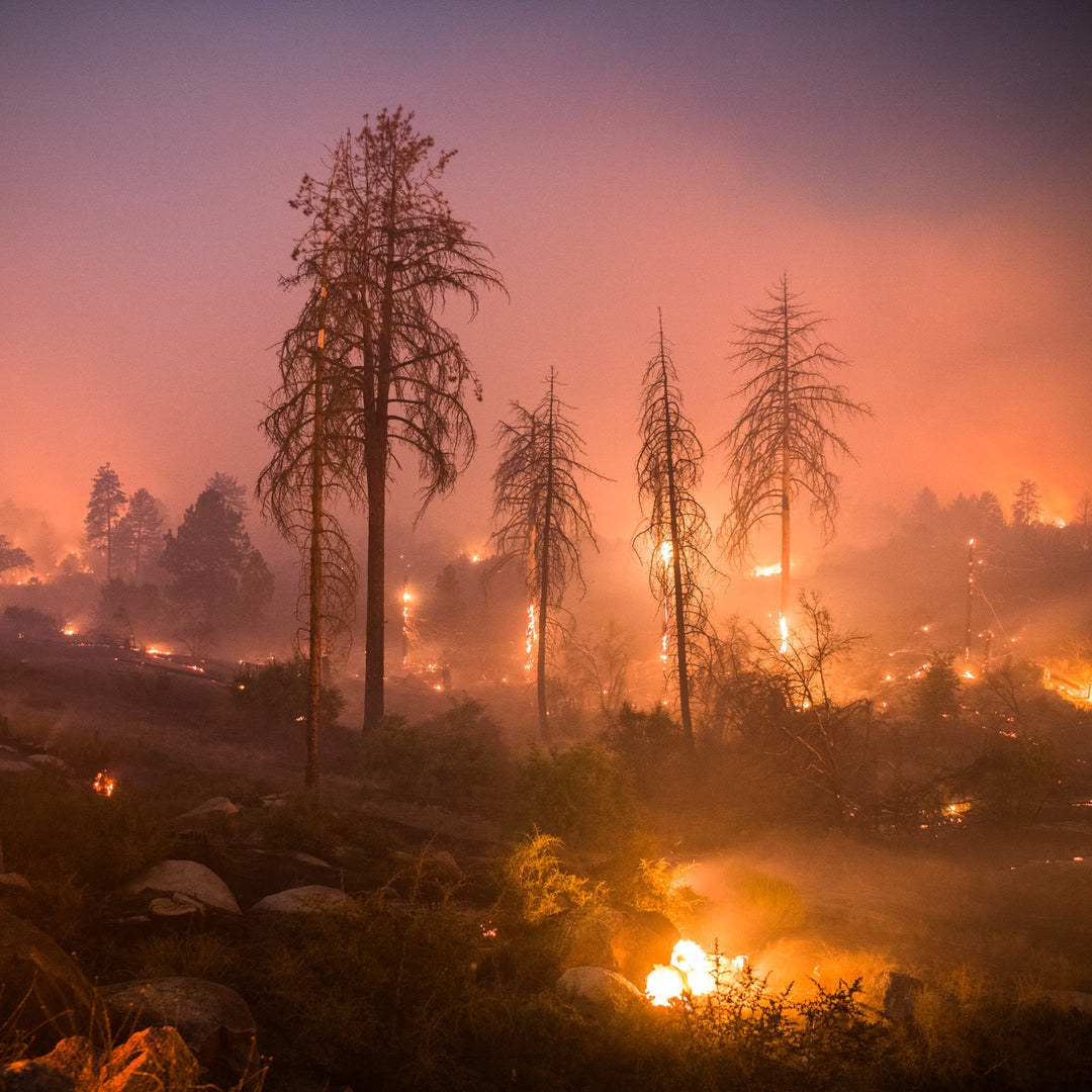 Image by Stuart Palley of the California Wildfires. Copyright: Stuart Palley.