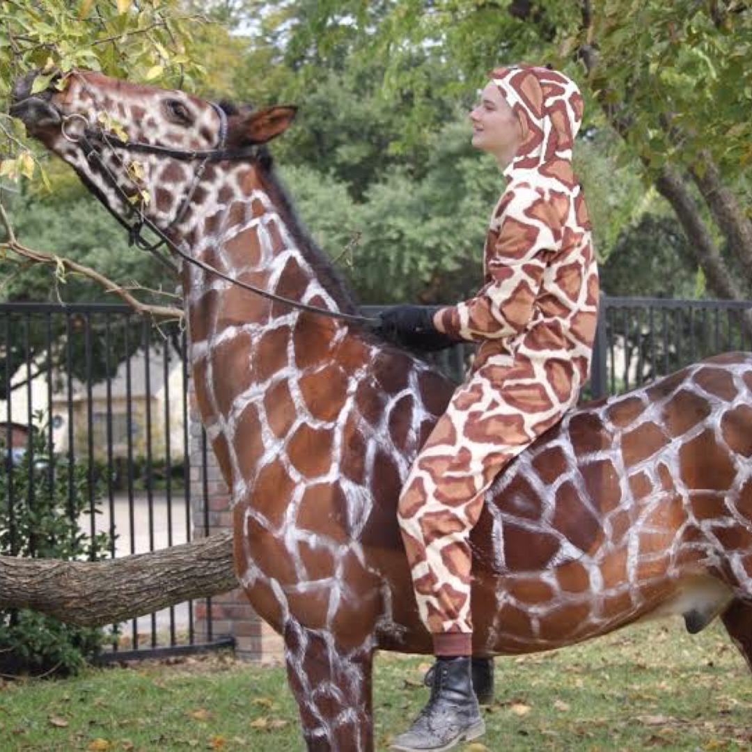 Halloween Is Near! Here Are Our Favorite Costume Ideas For You & Your Horse