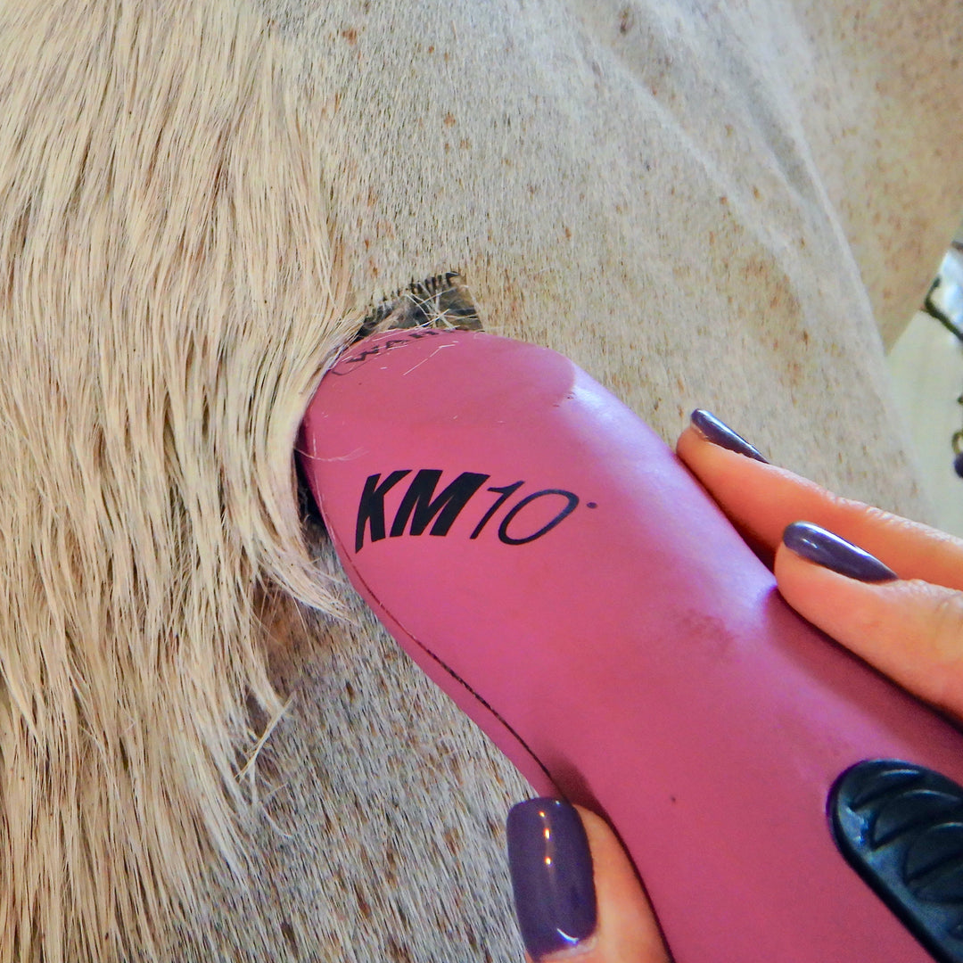 It’s Clipping Season: The Ultimate Guide To Clipping Your Horse