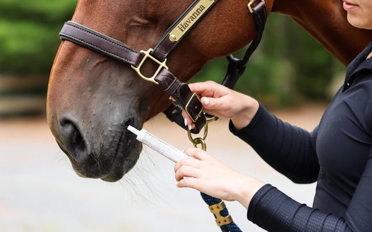 Calming Supplements for Horses