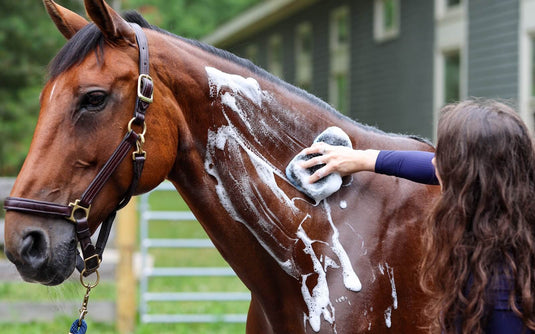 Antifungal & Antibacterial