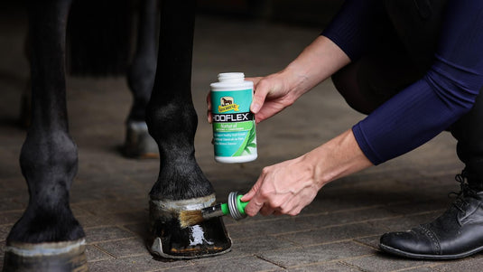 Hoof Oil & Conditioners