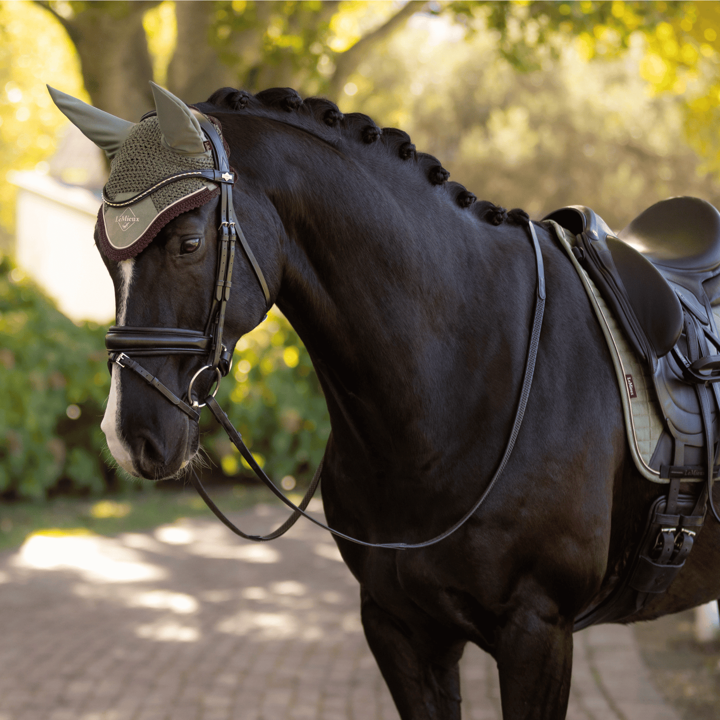 LeMieux Classic Ear Bonnet