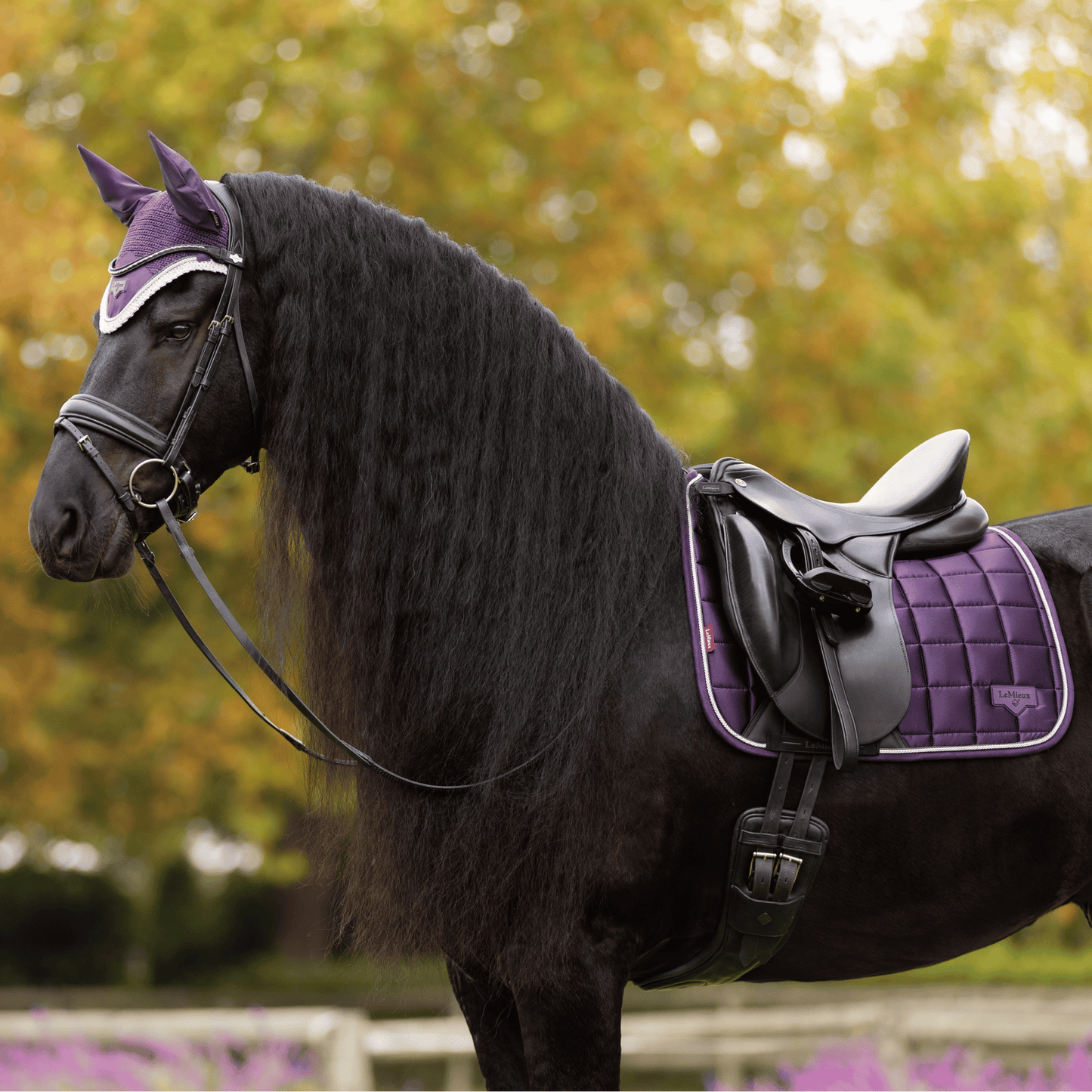 LeMieux Loire Classic Dressage Square Pad