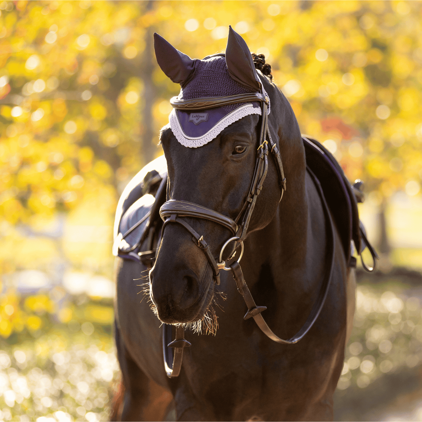 LeMieux Loire Classic Ear Bonnet