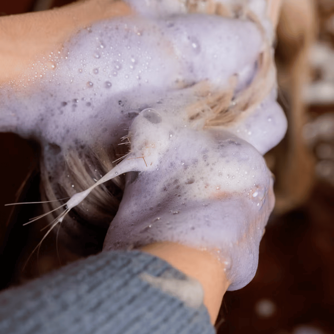 Grooming Deluxe Allmond Gloss Purple Shampoo