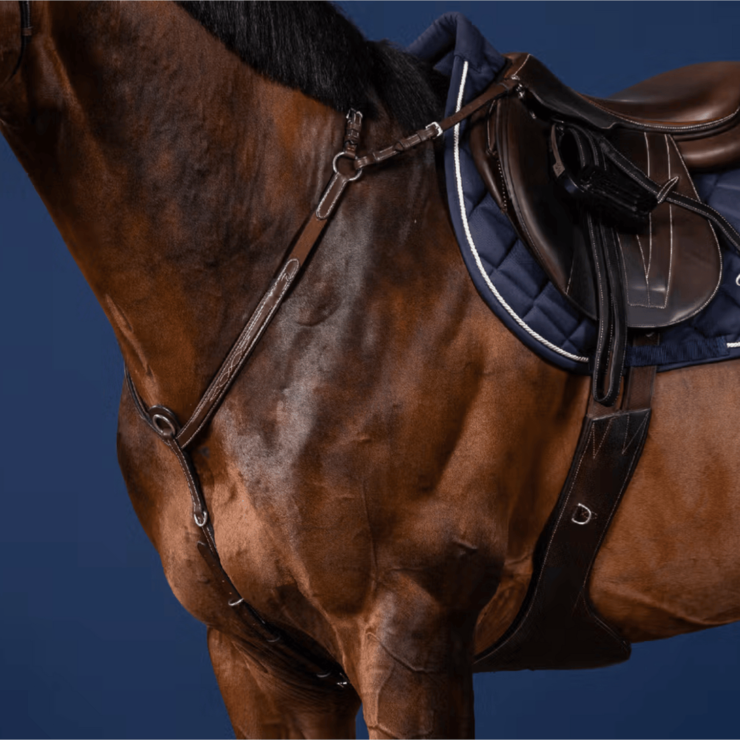 Dy'on Bridge Breastplate US Collection