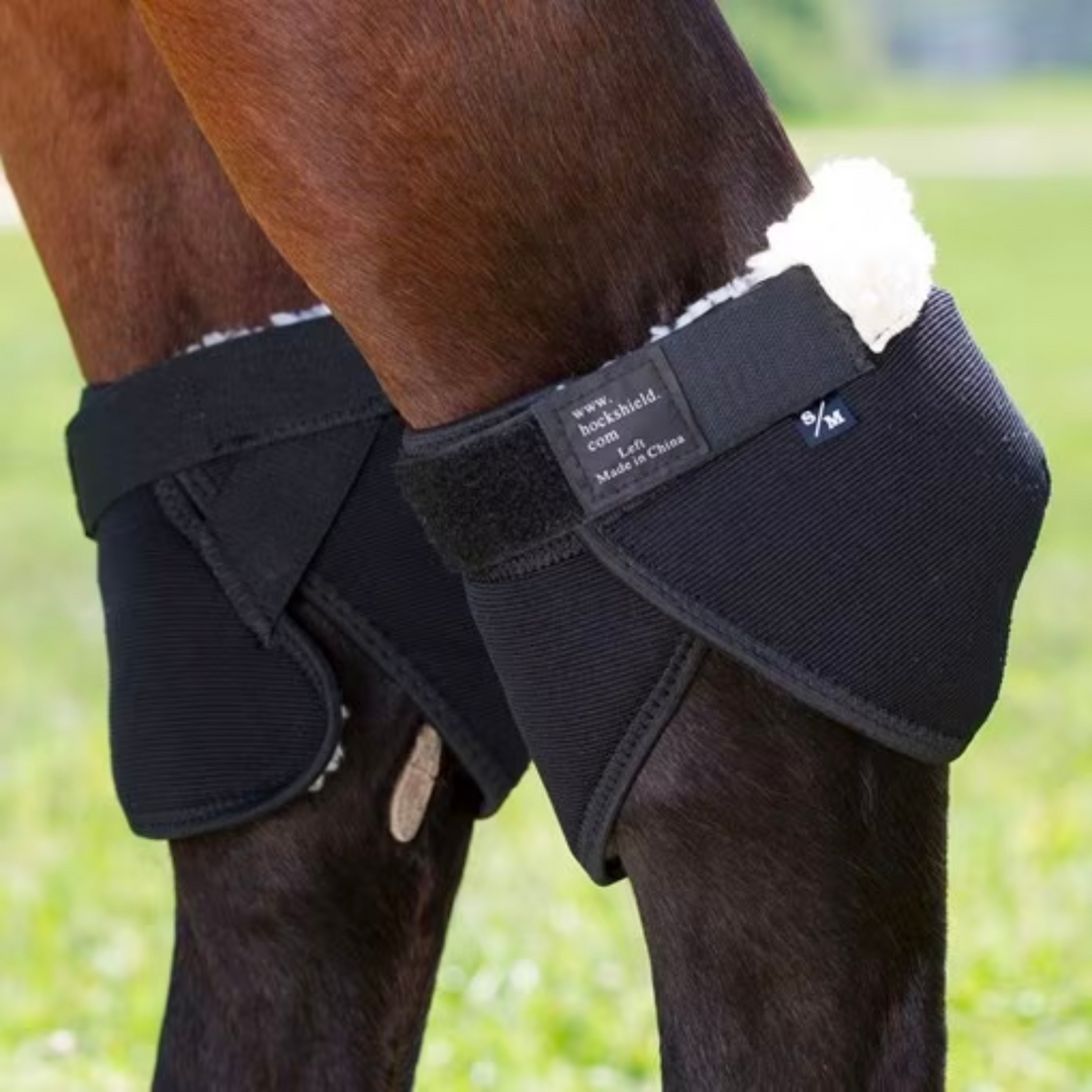 Click Hock Shield Ultra, One Pair