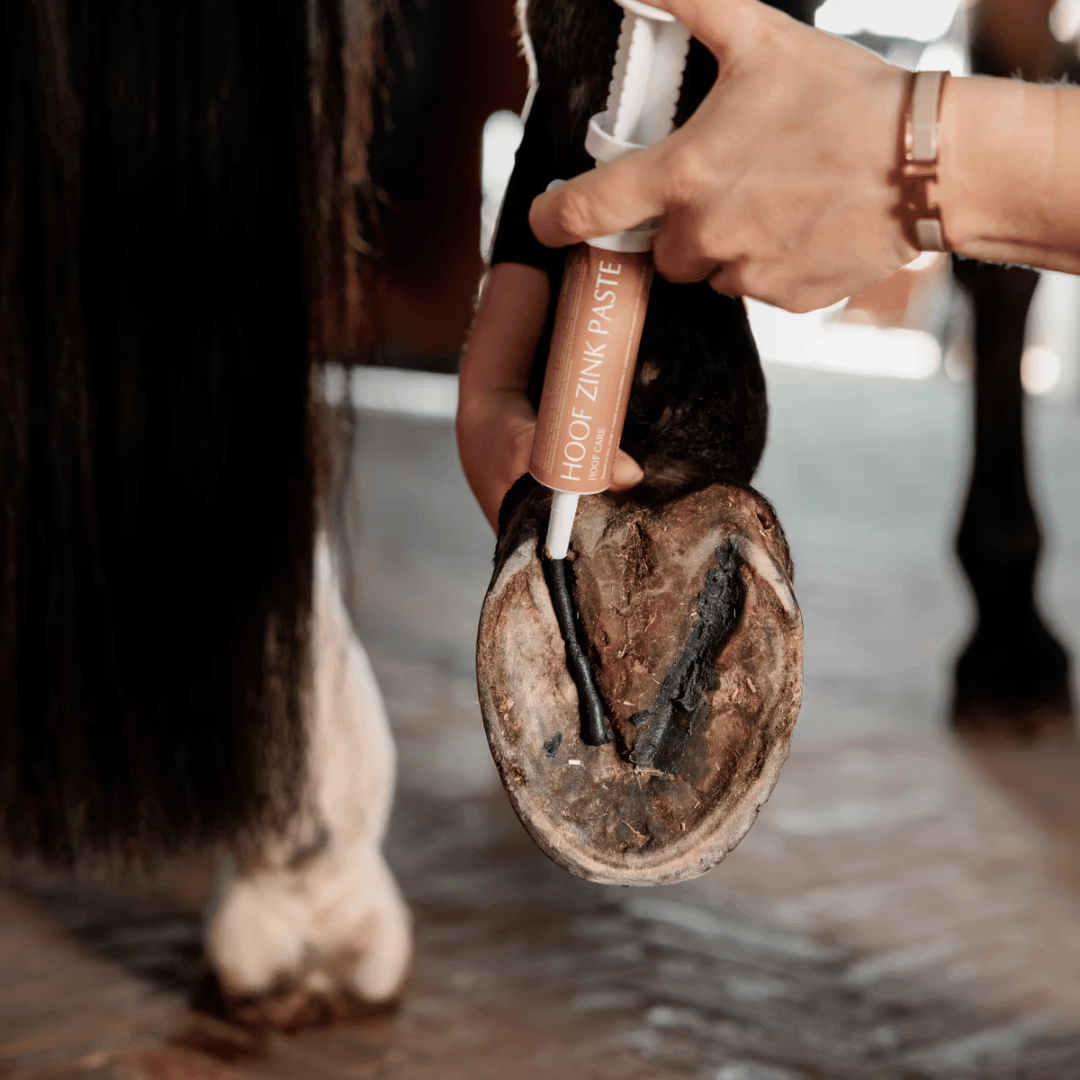 Grooming Deluxe Equi Hoof Zinc Paste