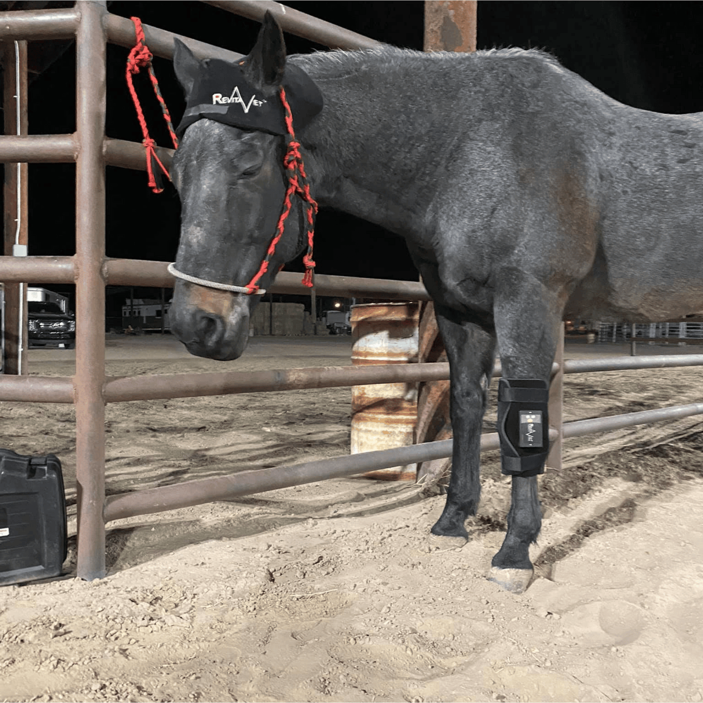 RevitaVet Knee Saver