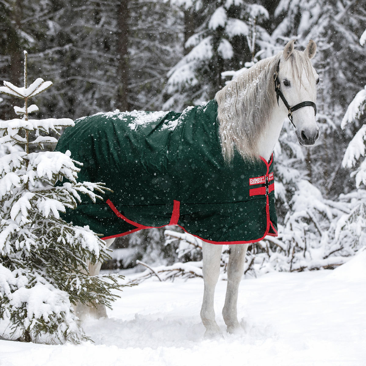 Rambo Original Turnout Blanket (Heavy 400g)