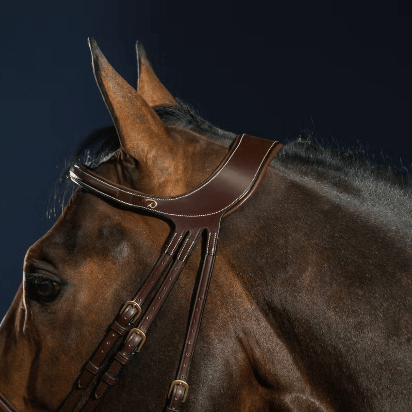 Dy'on "Difference" Bridle D Collection