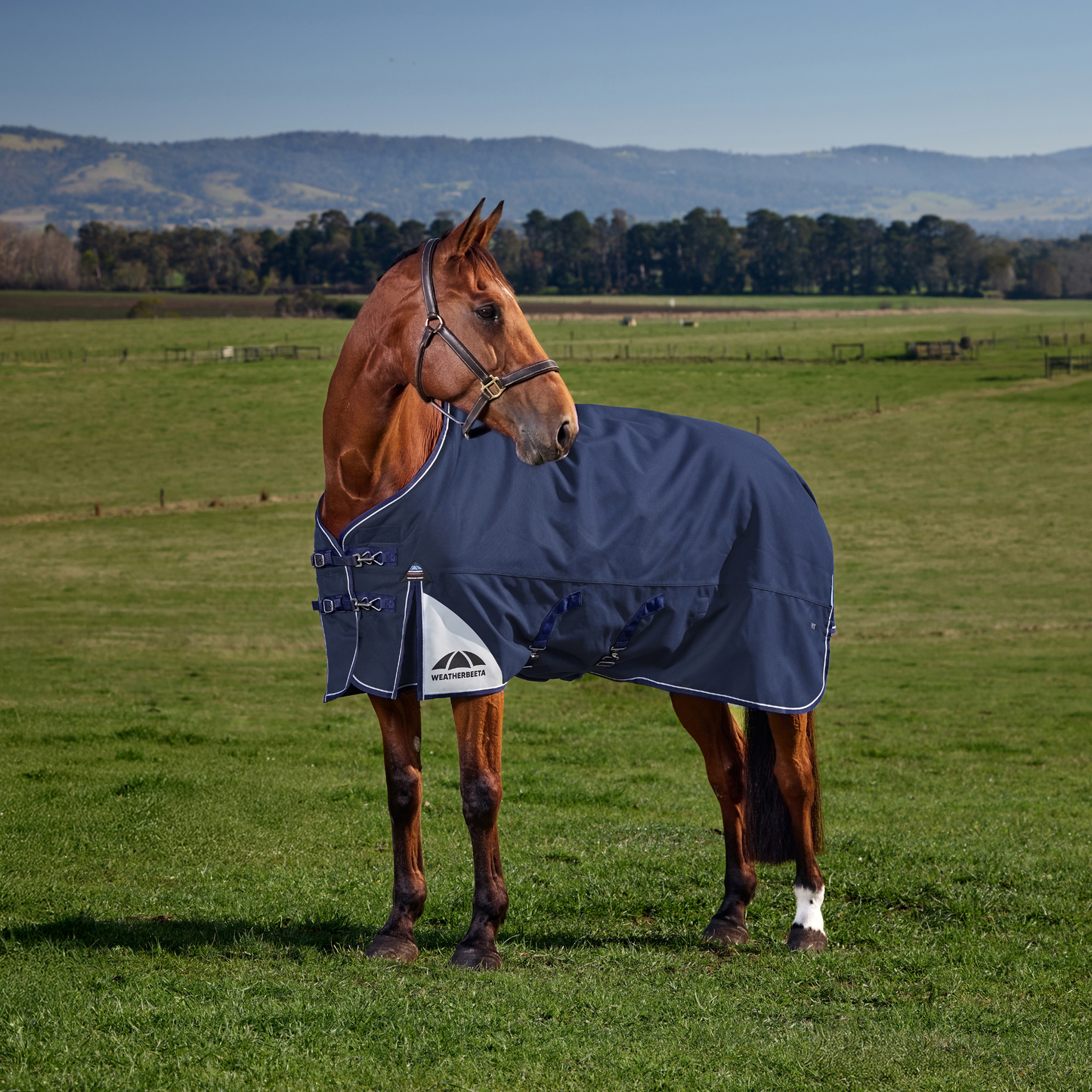 WeatherBeeta ComFiTec Ultra Turnout Standard Neck 220G