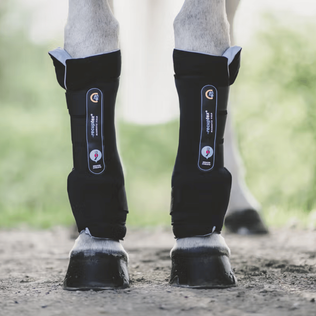 Kentucky Horsewear Recuptex Magnetic Stable Boots