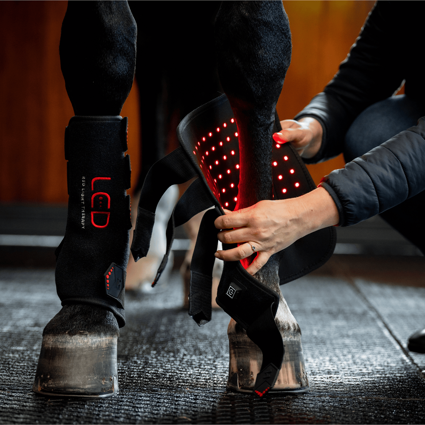 Horseware Ireland LED Red Light Leg Wrap
