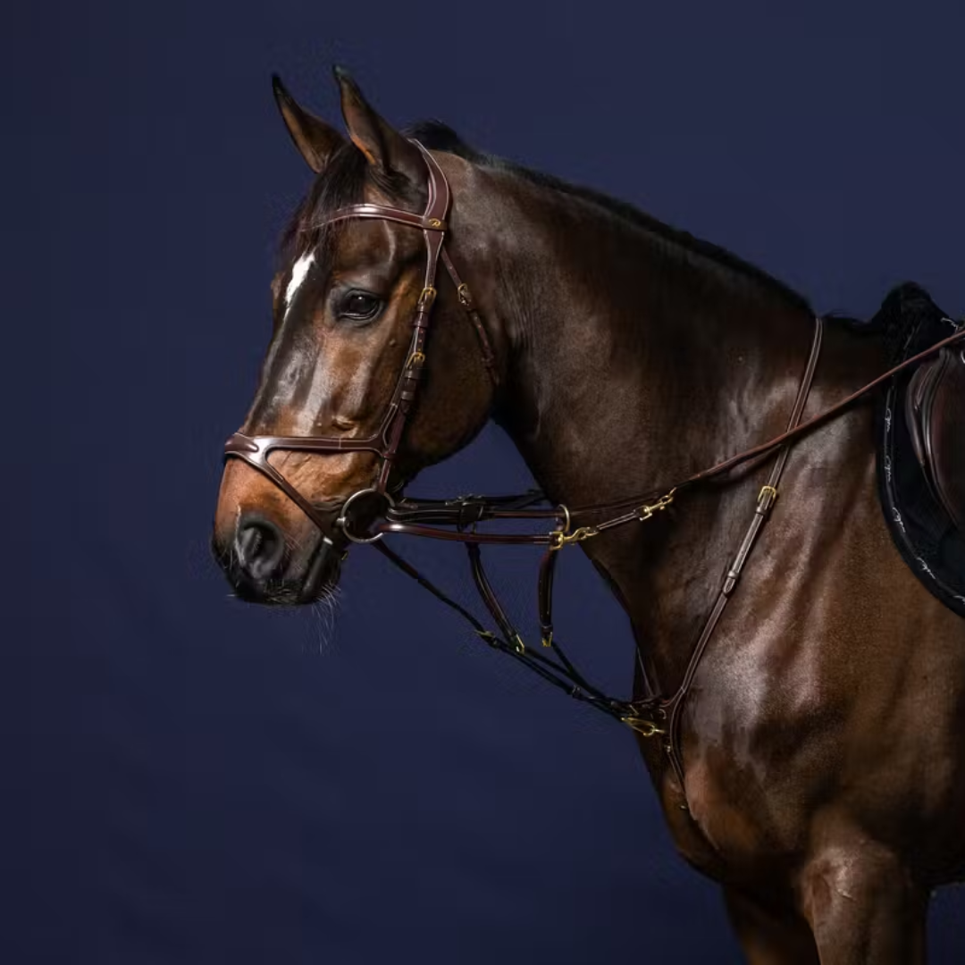 Dy'on Howlett Attachment D Collection