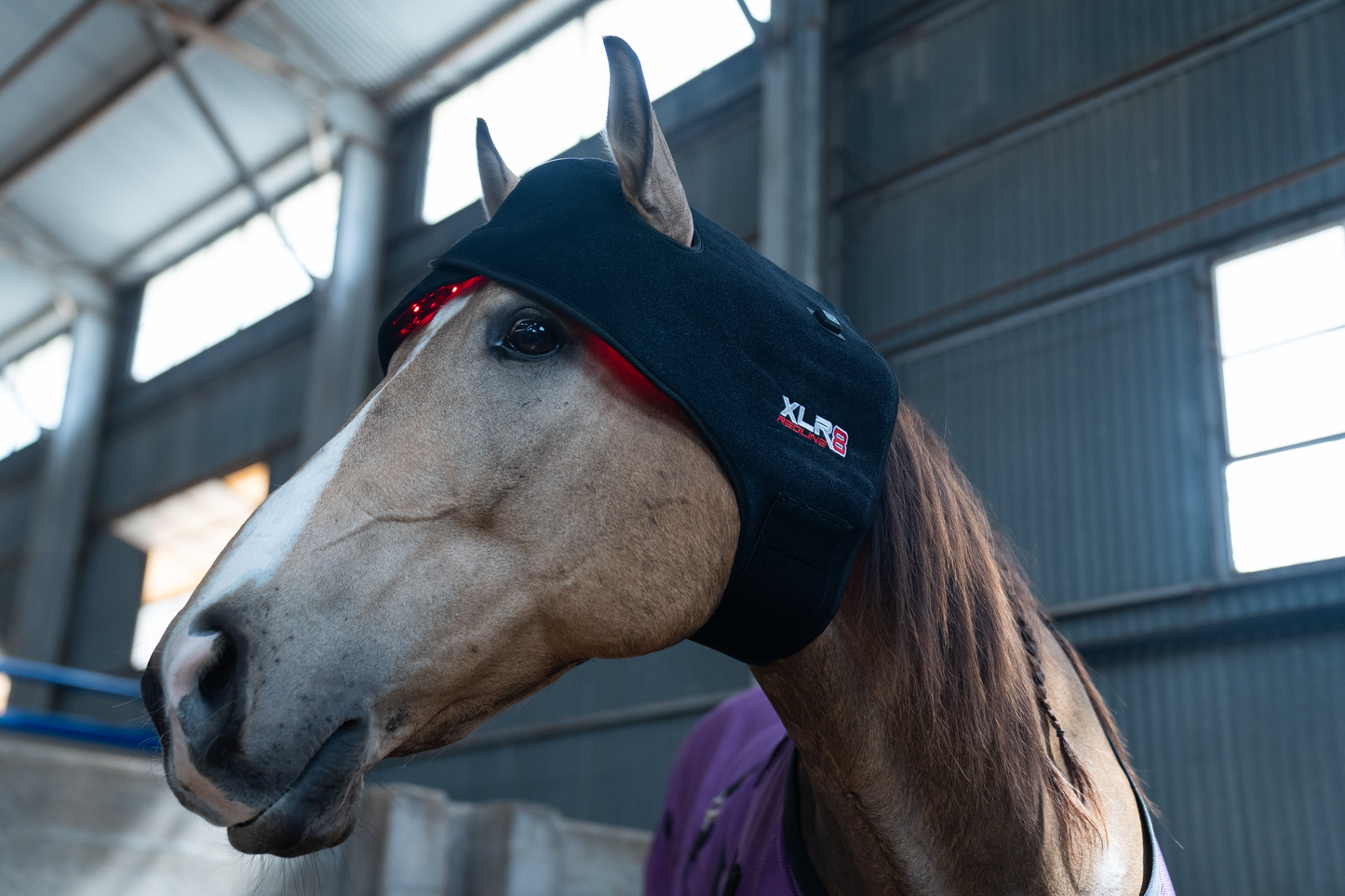 XLR8 Equine Redline Poll/Neck Wrap
