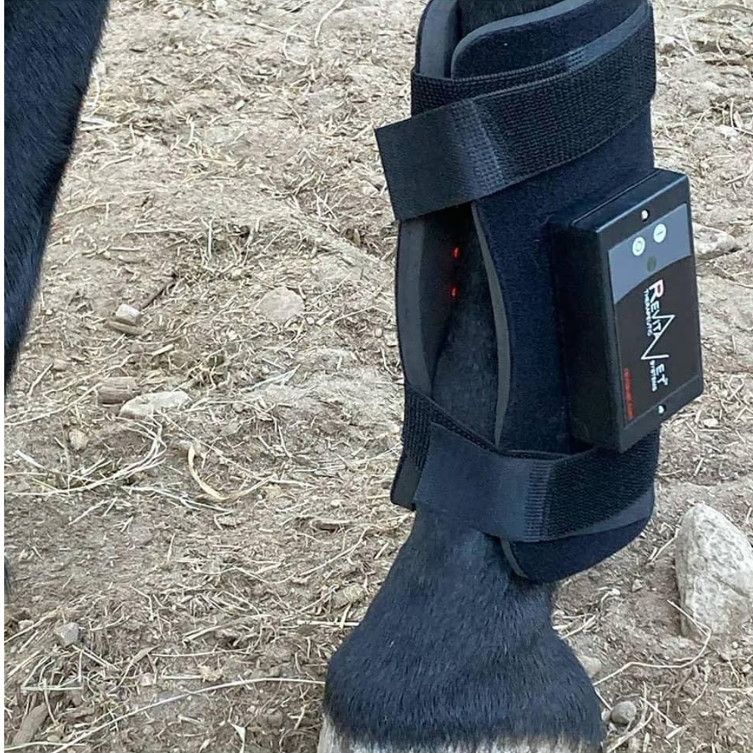 RevitaVet Tendon Saver