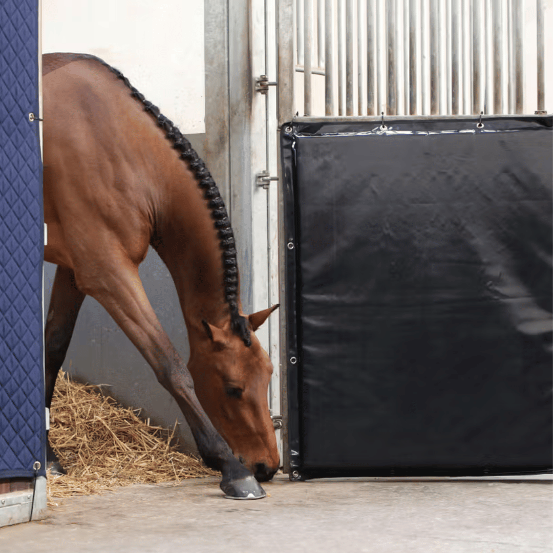 Kentucky Horsewear Kick Pad