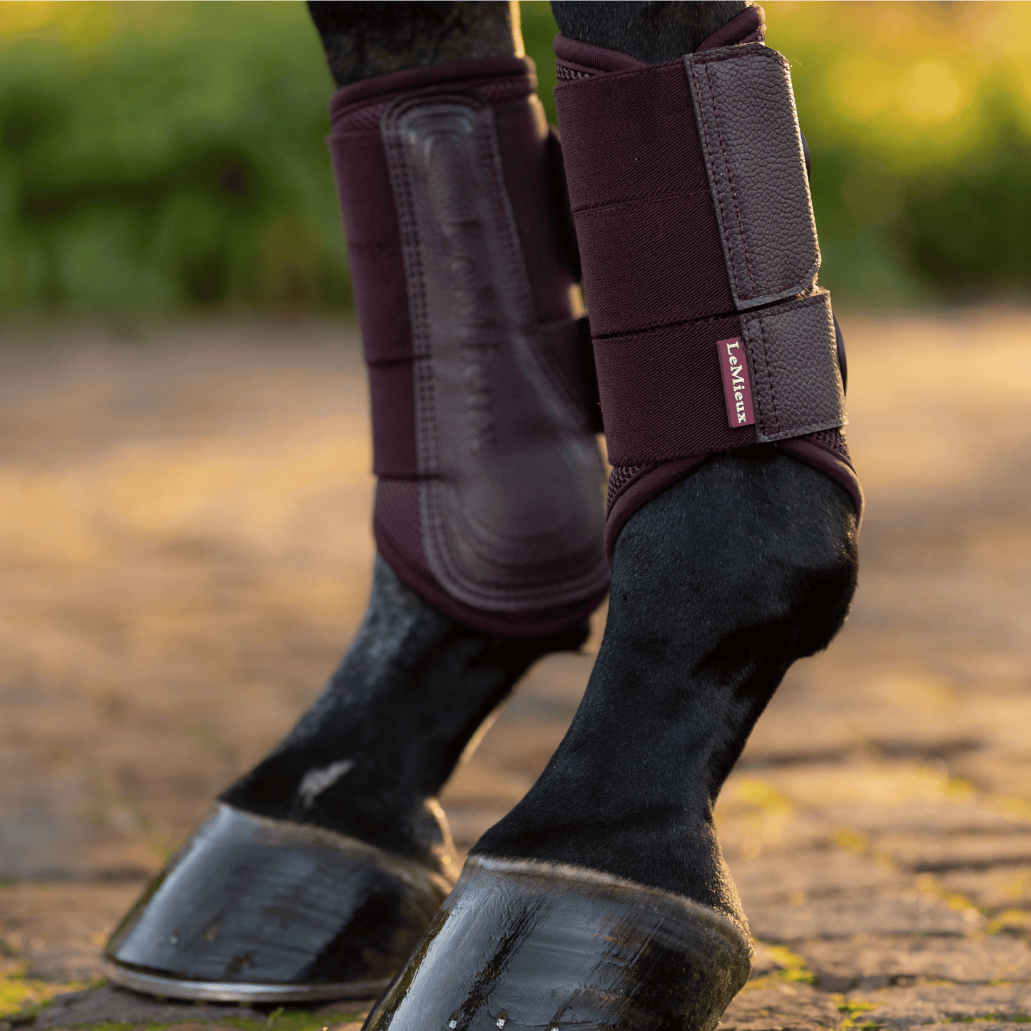 LeMieux Arika Brushing Boot