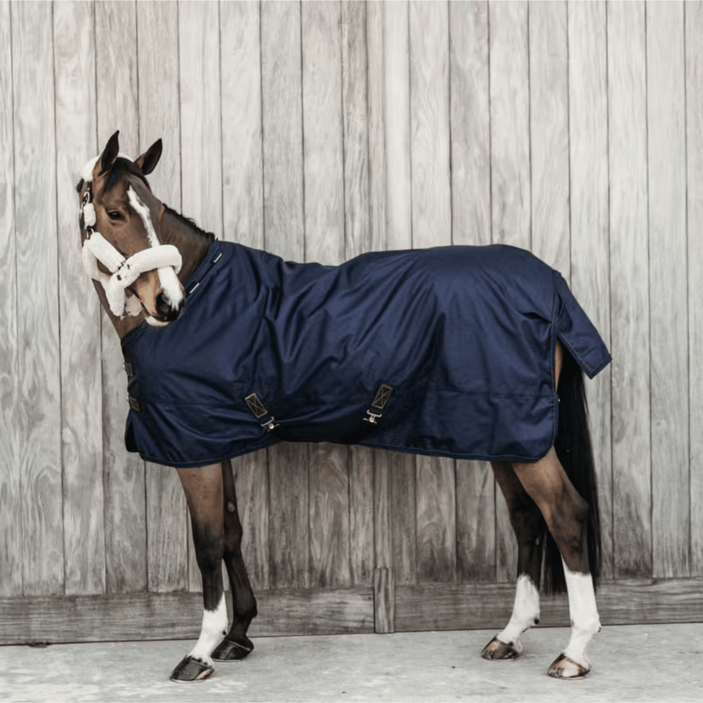 Kentucky Horsewear Turnout Rug All Weather Waterproof Pro