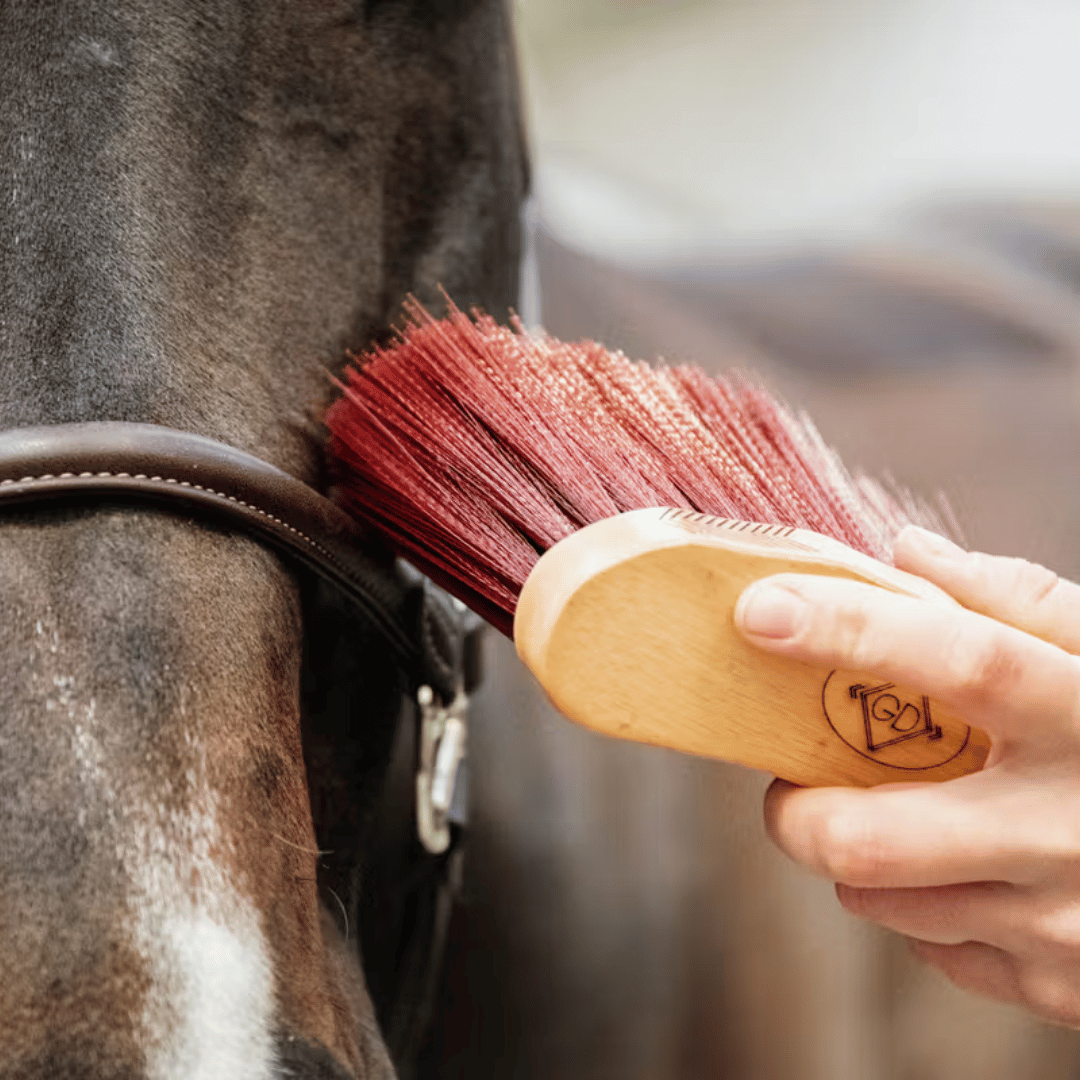 Grooming Deluxe Middle Brush Long