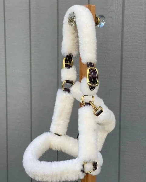 Walsh Shipping Halter