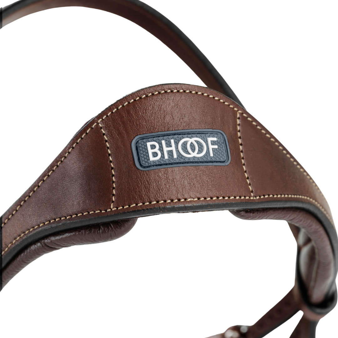Bhoof Bridle 1 - Flash