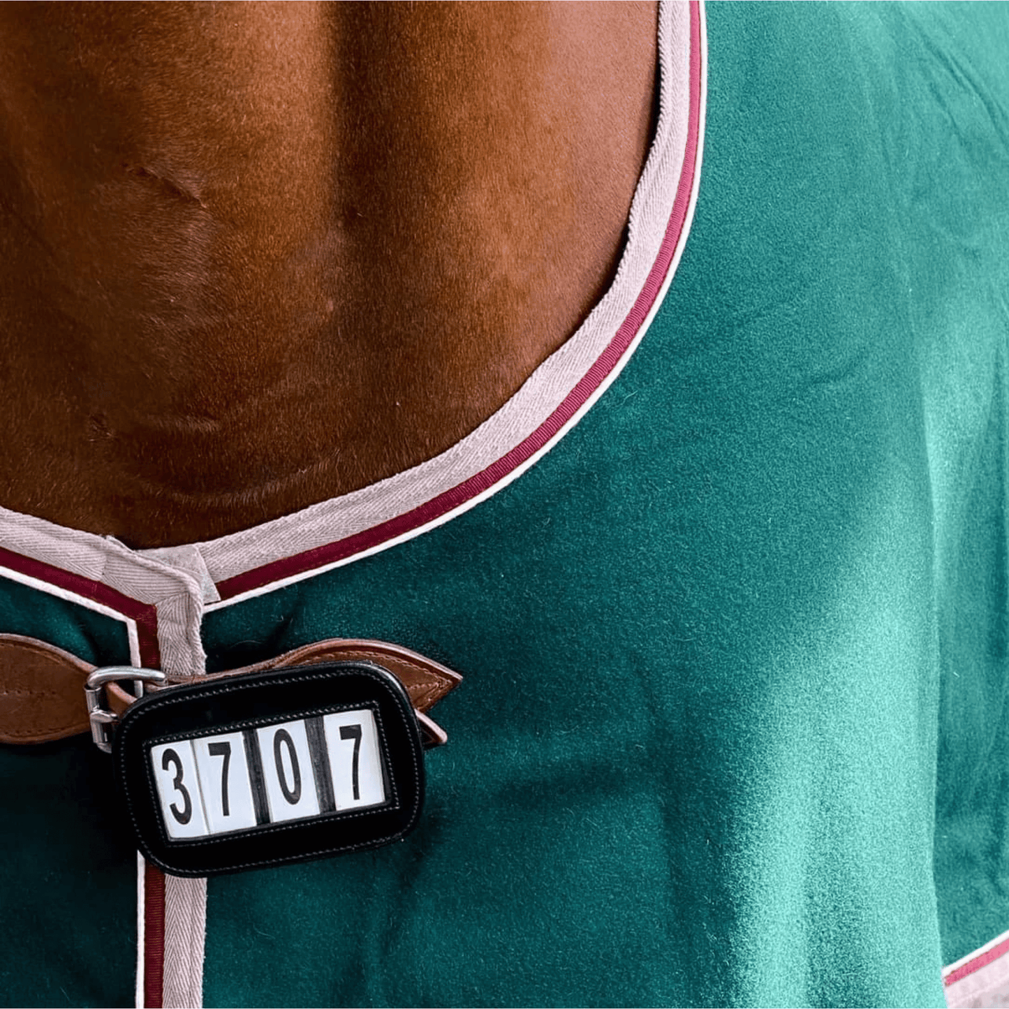 Ace PRO4MANCE Number ID