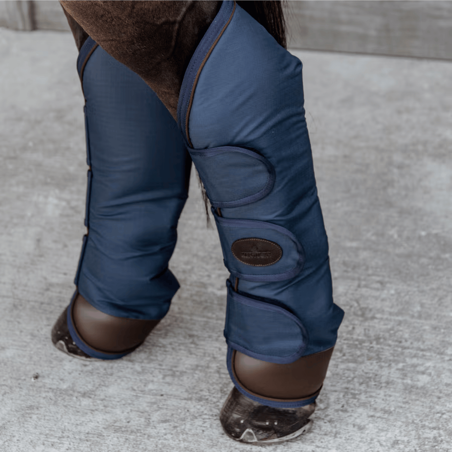 Kentucky Horsewear Travel Boots