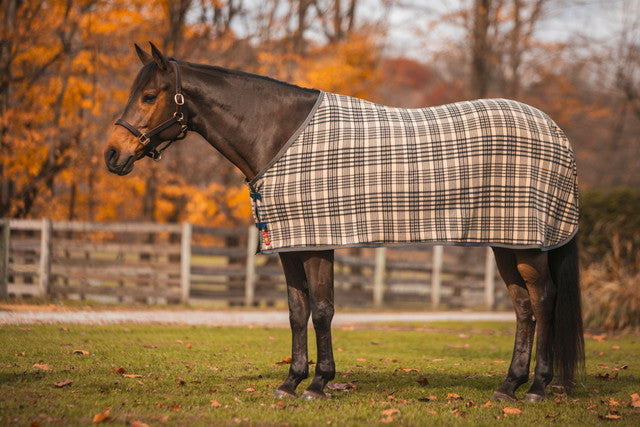 5/A Baker Stable Sheet- Horse Blankets