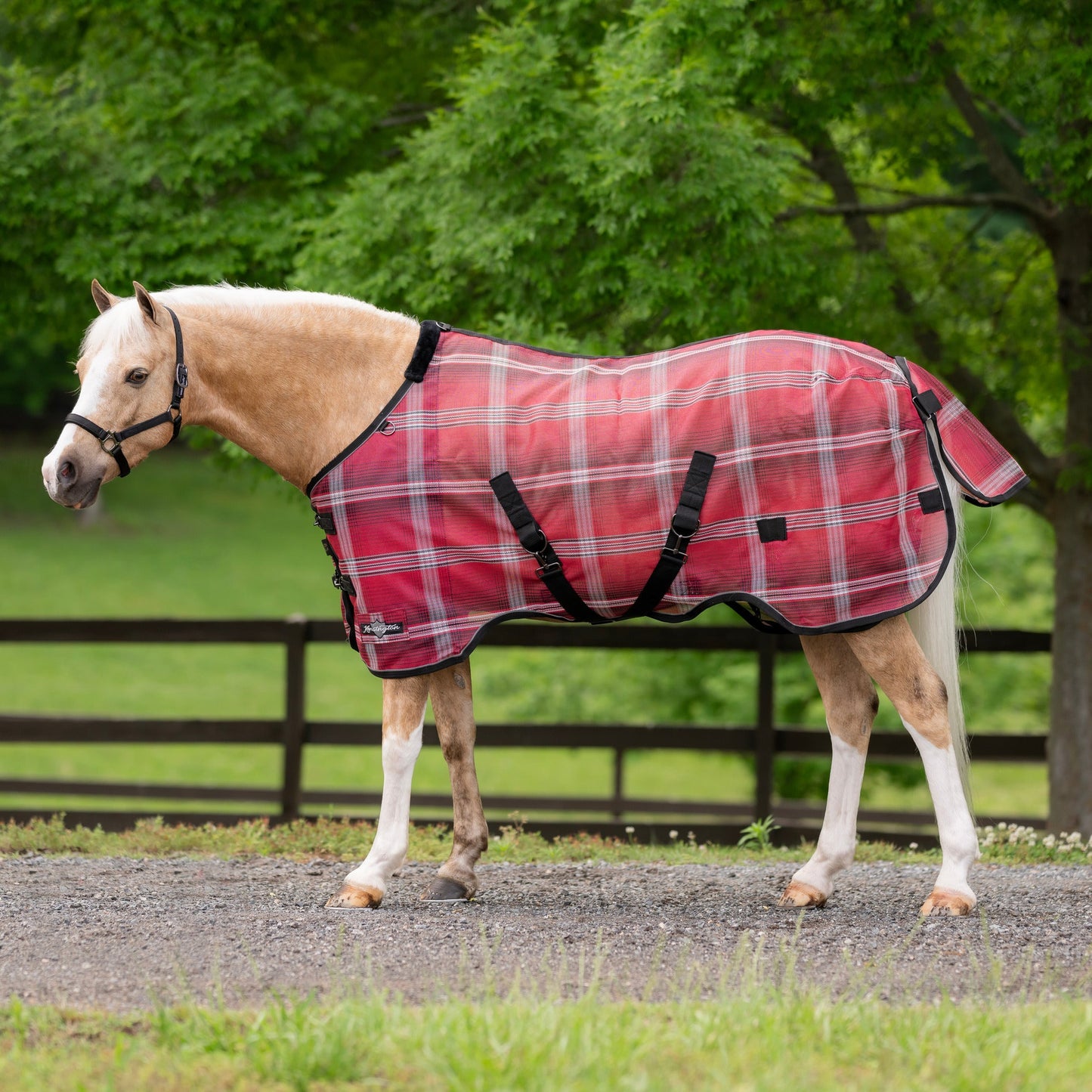 Kensington Pony Protective Fly Sheet with SureFit® - 73% UV Blocking