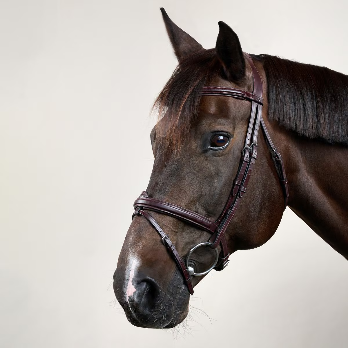 Dy'on Flash Noseband Double Bridle - New English Collection