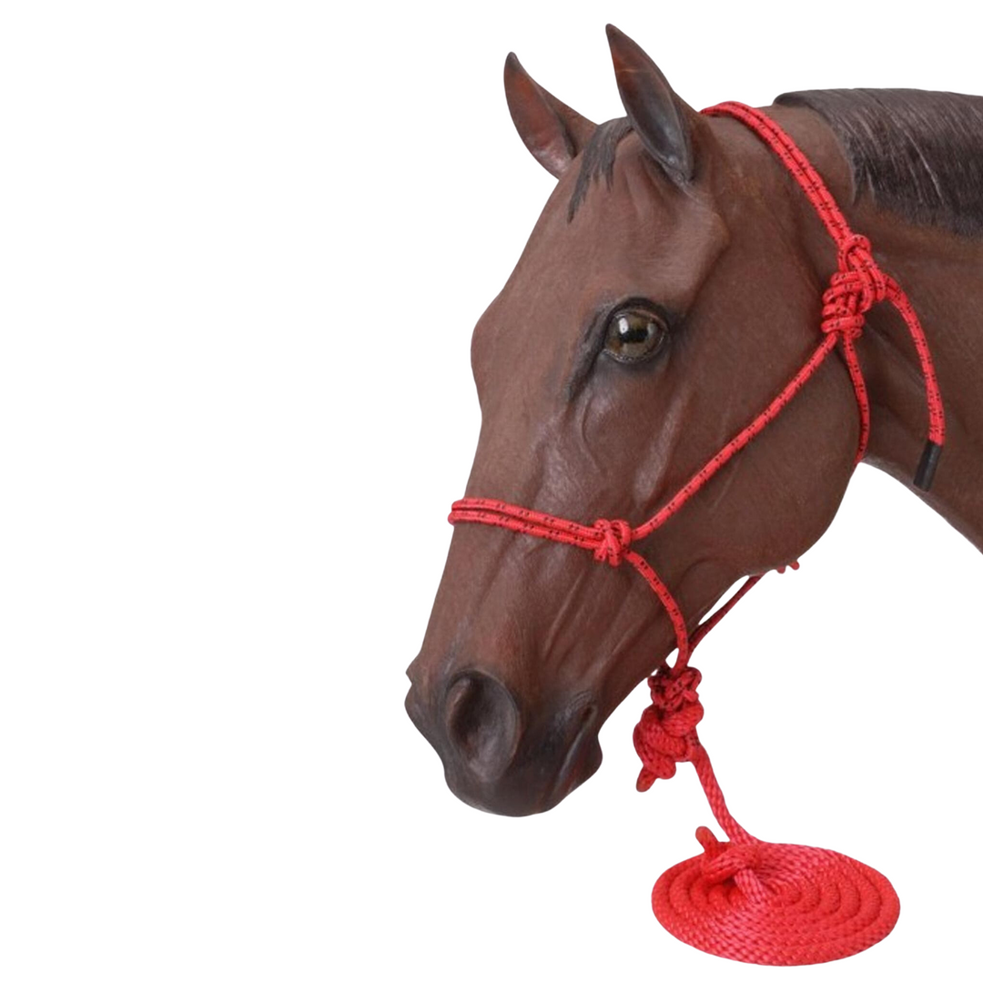 Tough-1 Poly Rope Tied Halter with Lead