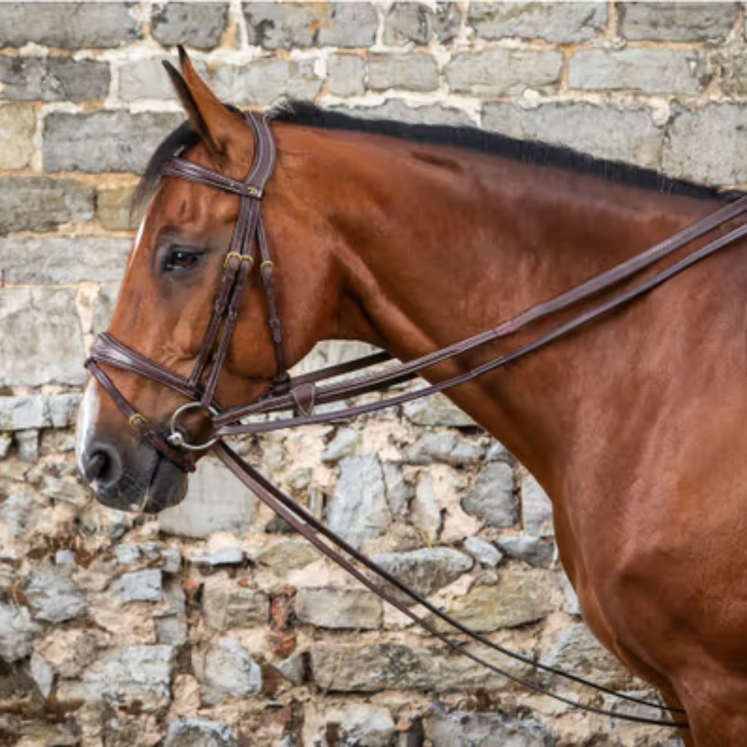 Dy'on Full Leather 1/2" Draw Reins D Collection
