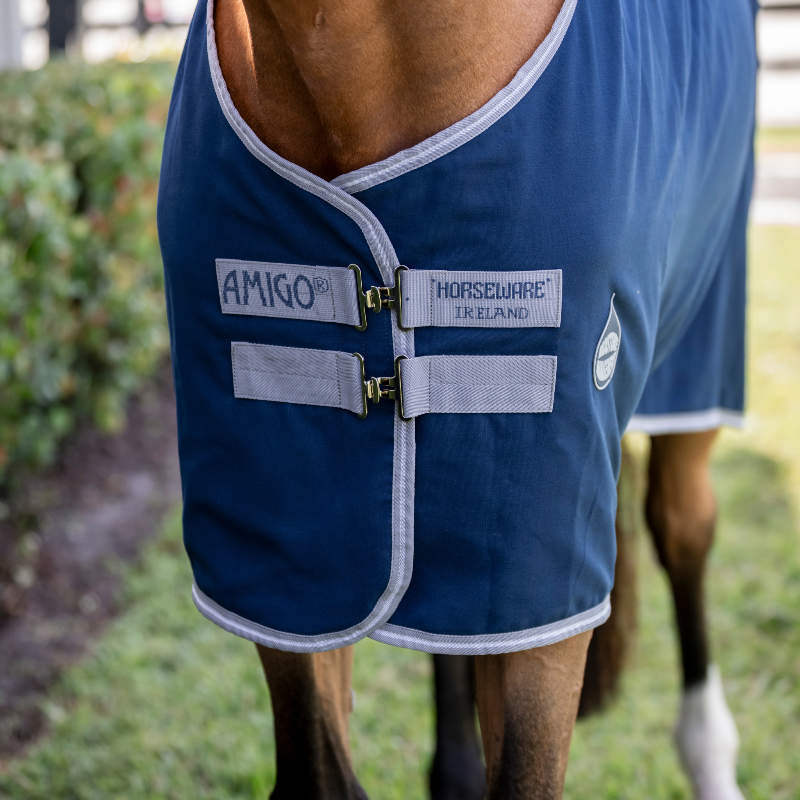 Amigo Stable Sheet