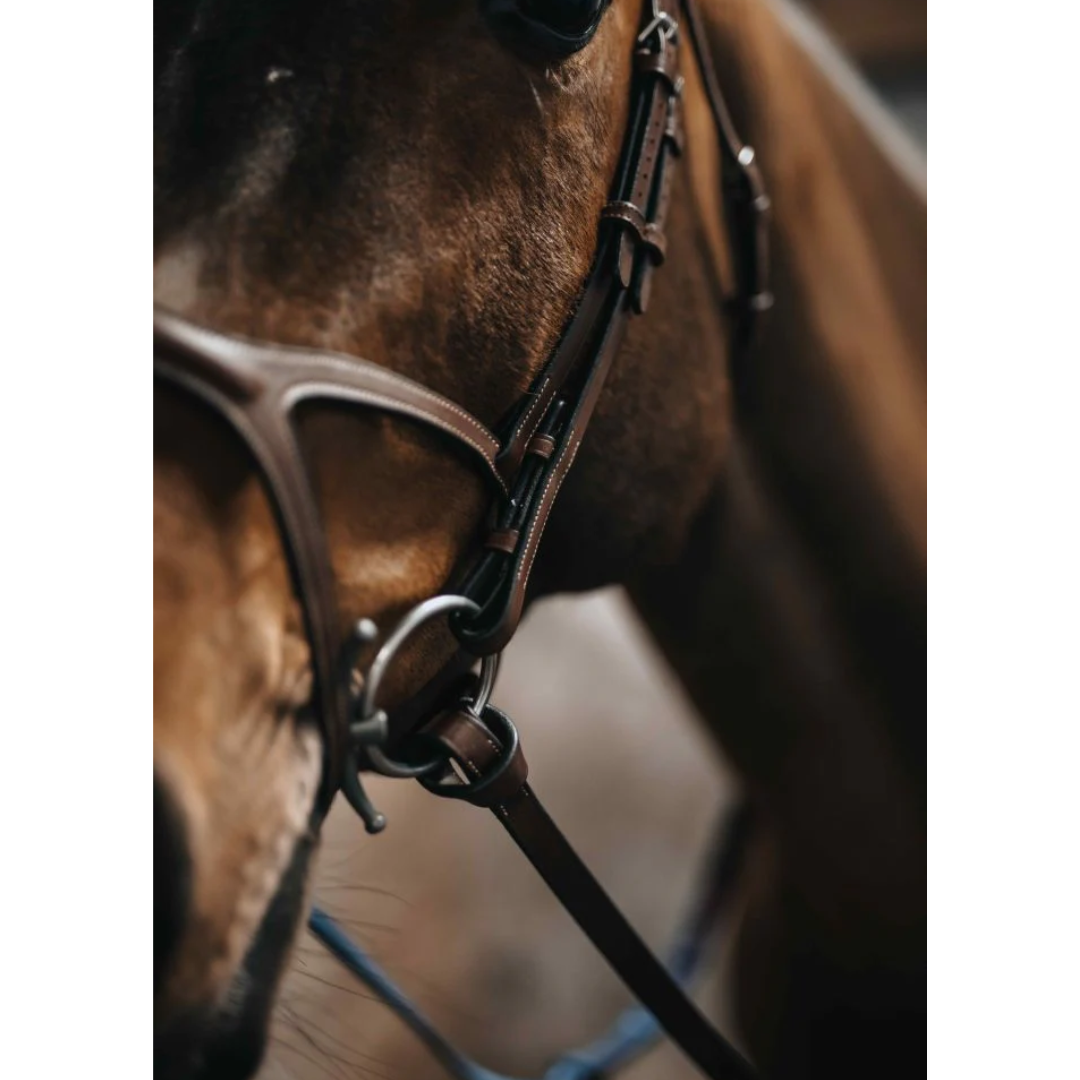 Bhoof Bit 2 Double-jointed