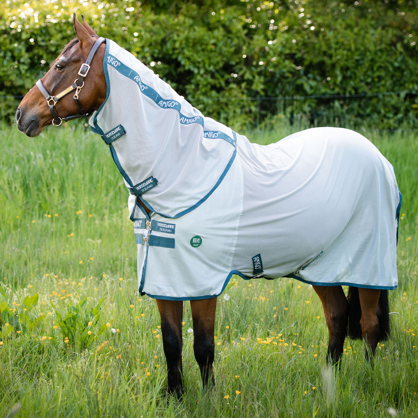 Amigo AmECO Bug Rug Fly Sheet