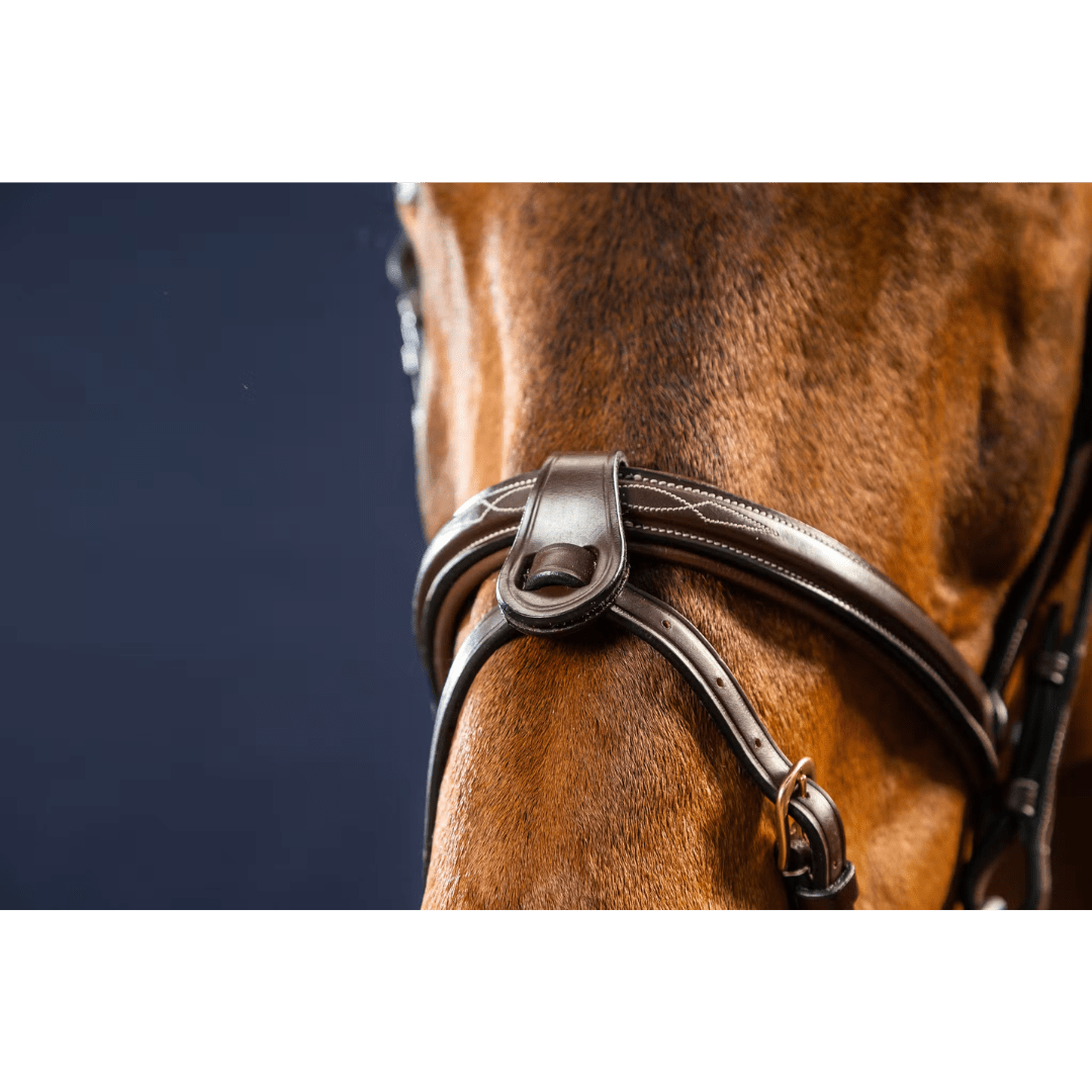 Dy'on Flash Nose Strap 1/2" With 2 Removable Attachments - D Collection