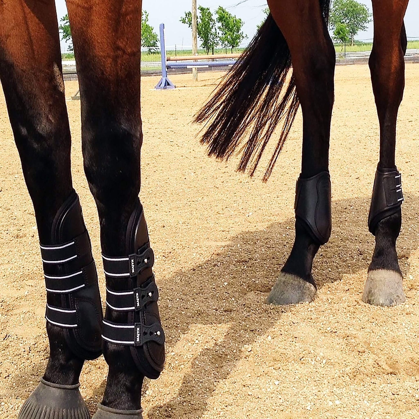 Majyk Equipe Boyd Martin Leather Hind Boot with Removable Liner