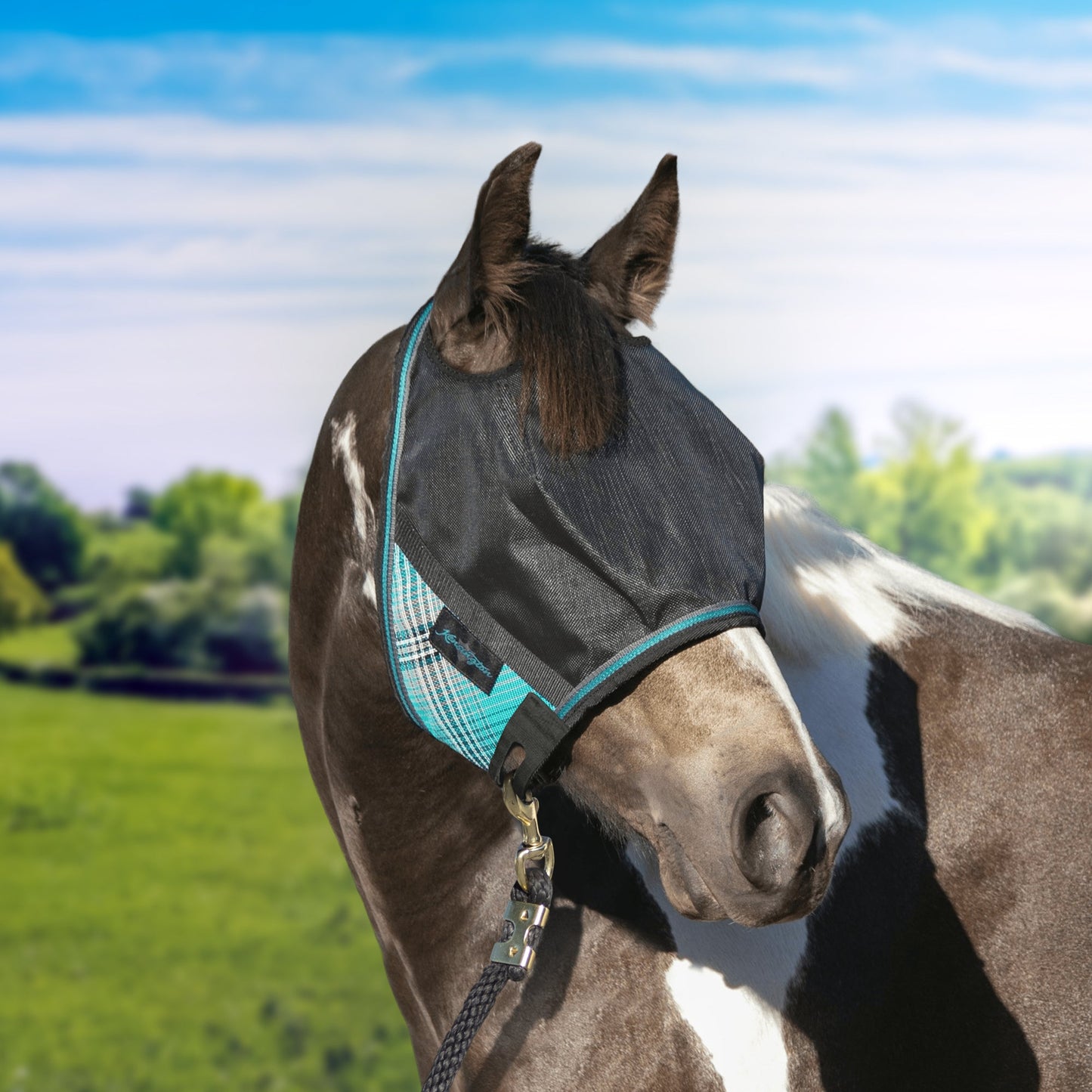 Kensington 90% UV Fly Mask CatchMask UViator - without Ears & Forelock Freedom