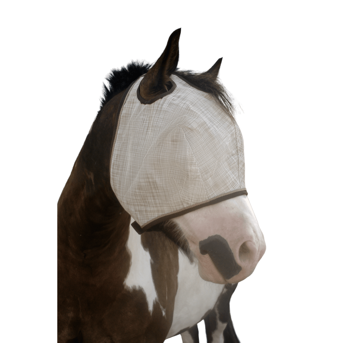 Kensington Draft Fly Mask with Web Trim - Dual Ear Holes - 73% UV Blocking