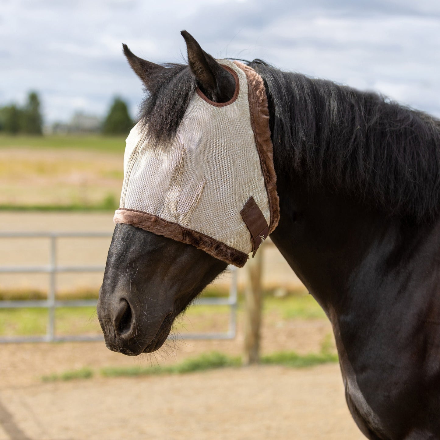 Kensington Draft Fly Mask with Fleece Trim - Dual Ear Holes - 73% UV Blocking