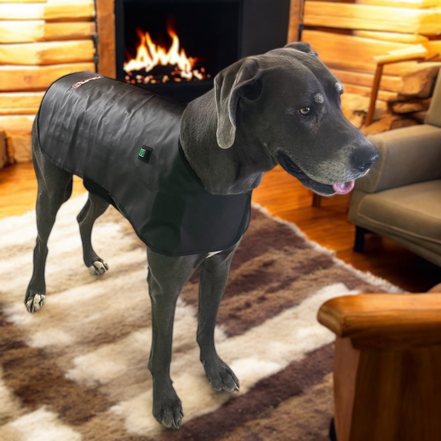 XLR8 Equine Redline Dog Wrap- Large