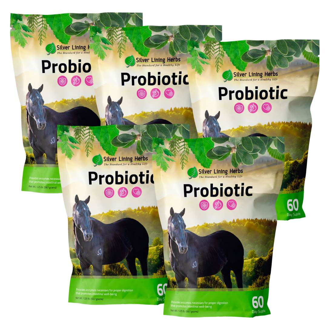 Silver Lining Herbs Horse Probiotics