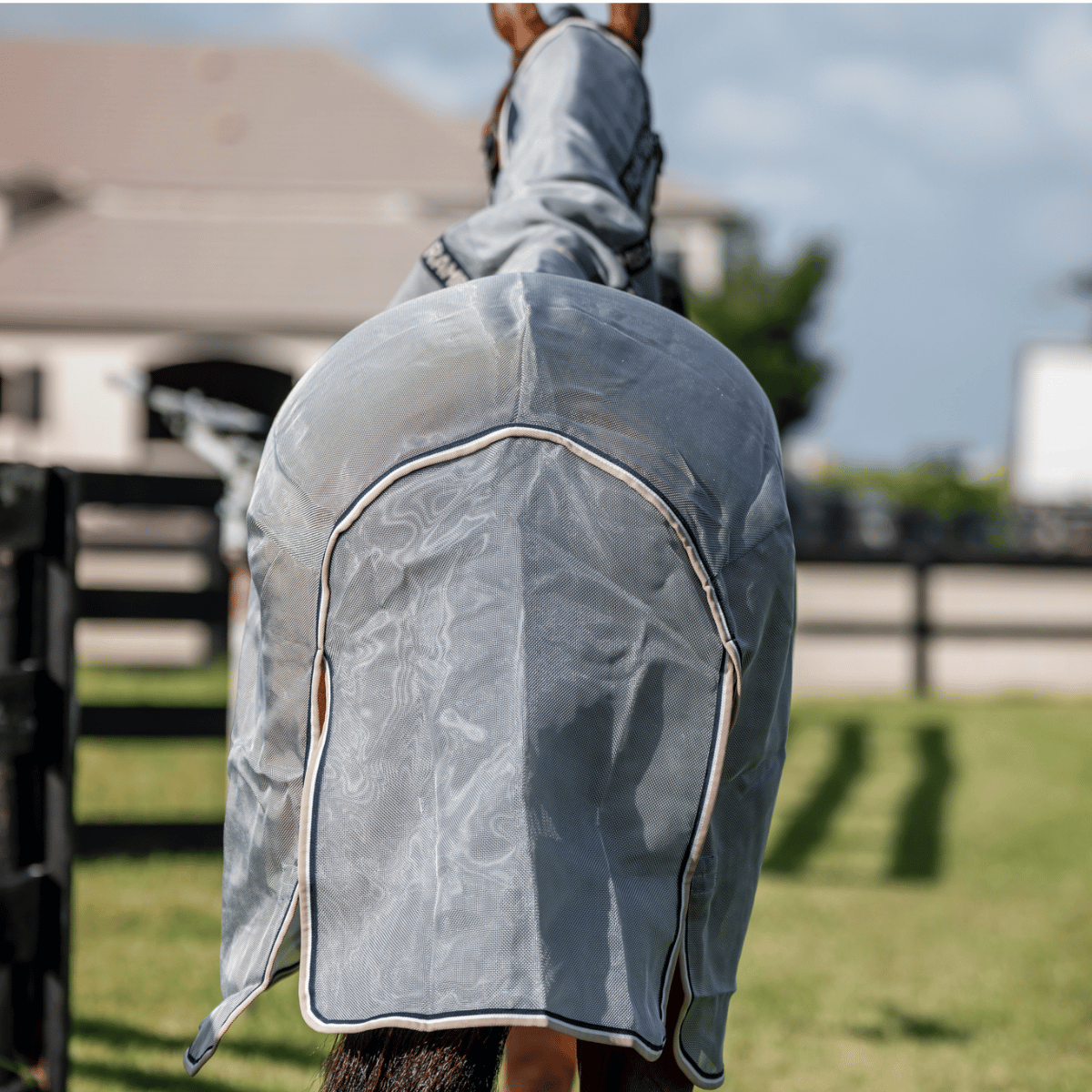 Rambo Protector Fly Sheet with Fly Spray BOGO