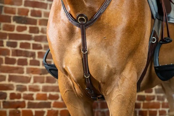 Dy'on Bridge Breastplate - D Collection - Corro