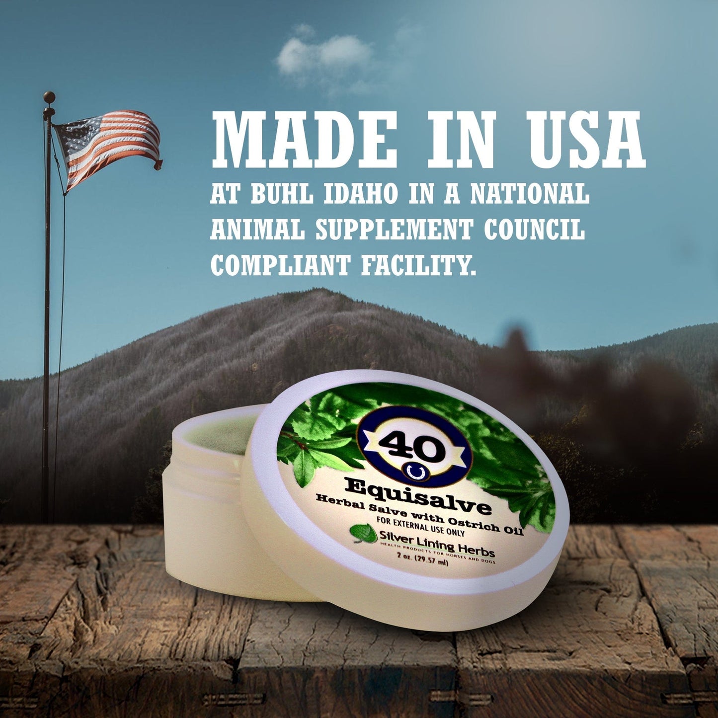 Silver Lining Herbs Equisalve For Horses