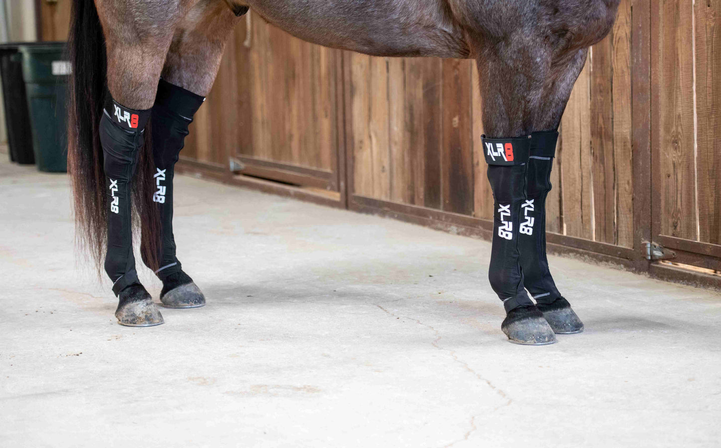 XLR8 Equine G-Force Compression Boot